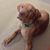 Louis Moeckler's profile image