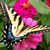 Elizabeth Fralin's profile image