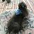Cindy Lanford's profile image