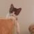 Kimberly Blair's profile image
