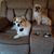 Teresa Marshall Wimbrow's profile image