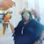 Julie Boyd's profile image