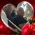 Tati Lawless's profile image