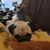 Tina Wilcox's profile image