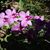 Eileen Connon's profile image