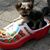 Tommie Marie Stickel's profile image