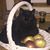 Tracy Bruring's profile image