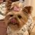 Regina Nelson Stork's profile image