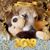 Joanne Strobehn's profile image