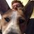 James Grant Hagner's profile image