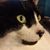 Kim Ziak's profile image