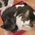 Angela Post Blasius's profile image