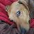 Mike Klaege's profile image