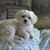 Kela Cammack's profile image