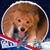 Alaina Swain's profile image