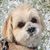 Janell Boczar Hendershot's profile image