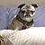 Tina Gladen's profile image