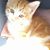 Joanie Mowers's profile image