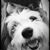 Katie Waterfield Lindley's profile image
