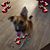 Brenda Turchi's profile image