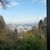 Karen Larkins's profile image