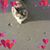 Joan Jones's profile image