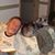 Wayne P. Miller's profile image