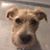 Jeri D Holman's profile image