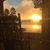 Debra Buchanan's profile image