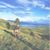 Ric Smith's profile image