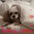 Katie Allardice Fargo's profile image