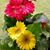 Carolyn Sabins's profile image
