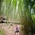 Christina Lombardo Seiler's profile image