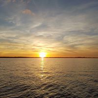 Melissa Jericho Freeman's profile image