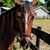 Tina Wilson's profile image
