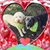 Jean White's profile image