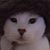 Jill Reichmuth Nelson's profile image