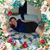 Carrie Estep's profile image
