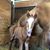 Katie Rich Murphy's profile image