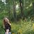 Jocelyn Marchyok's profile image