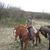Karen Neuman Anderson's profile image