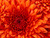 Andi R.'s profile image
