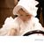 Julie Jueun Ko's profile image