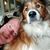 Randy Truscott's profile image