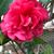Bobbie Thomason's profile image