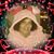 Dina Haley Di Salvio's profile image