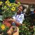 Andra Braynon's profile image