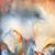 Melanie Warsinske Nuchols's profile image