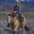 Jerry Howard's profile image