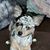 Sue Hartman Coronado's profile image